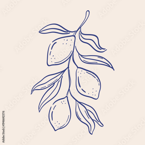 Hand-drawn tree branch of lemons with leaves. Mediterranean fruits line art silhouette. Sketch illustration of dolce vita food. Vector graphic