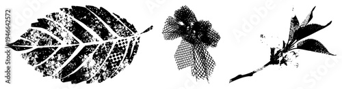 Black and white halftone botanical illustrations, leaf veins, clusters, branch stems, graphic design elements, vector art, nature motifs.