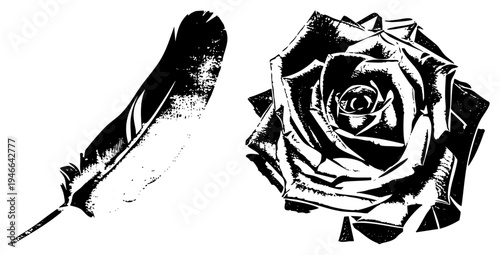 Stylized feather with textured shaft and rose with layered petals, halftone graphic, artistic silhouette, design, vector art, symbolic, romantic motif.