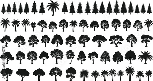 Tree silhouette set, forest pine palm and deciduous tree collection, nature landscape botanical vector icons isolated background