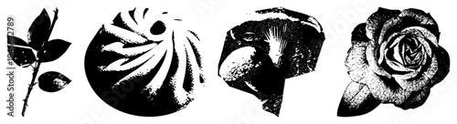 Rose stem with, abstract swirl, mushroom cap, fully bloomed rose all rendered in high contrast halftone vector style with clean and isolated elements.