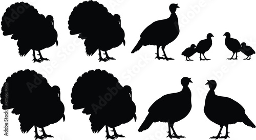 Turkey bird silhouette set, wild turkey and poultry farm bird collection, animal vector icons isolated on light background
