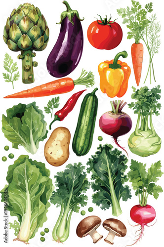 Vector illustration of fresh organic vegetables including artichoke eggplant tomato carrot bell pepper cucumber radish beetroot potato mushroom kale and lettuce isolated on white background