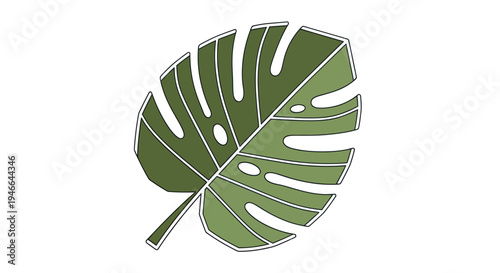 Monstera Deliciosa Leaf Illustration Green Foliage.