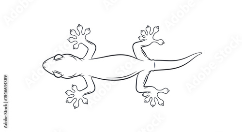 Simple Line Drawing of a Lizard.