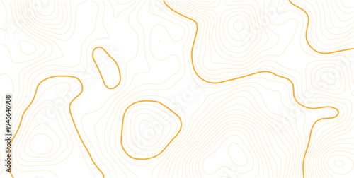 The stylized multicolored wavy abstract topographic map contour, lines Pattern background. white background topo 