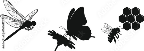 Black and white illustration featuring dragonfly, butterfly on flower, bee, and honeycomb structure, detailed insect silhouettes symbolizing pollination, ecology, and nature design