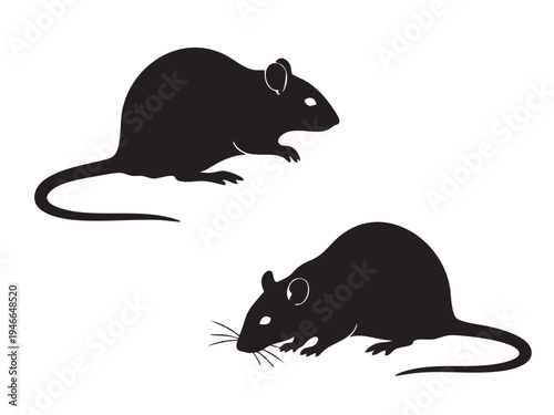 Rat Silhouette Vector