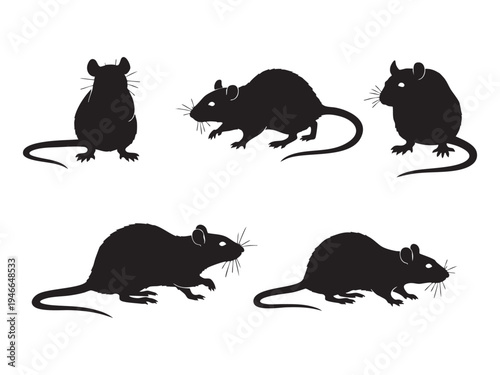 Rat Silhouette Vector