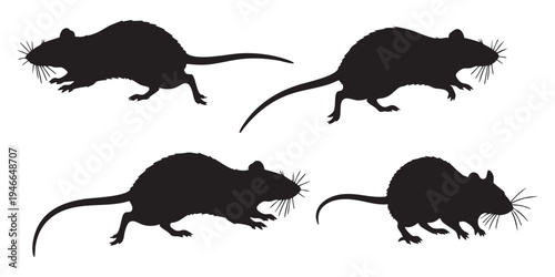 Rat Silhouette Vector