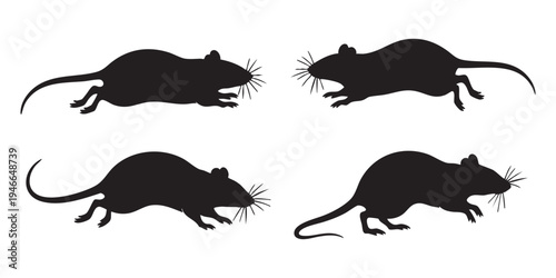 Rat Silhouette Vector