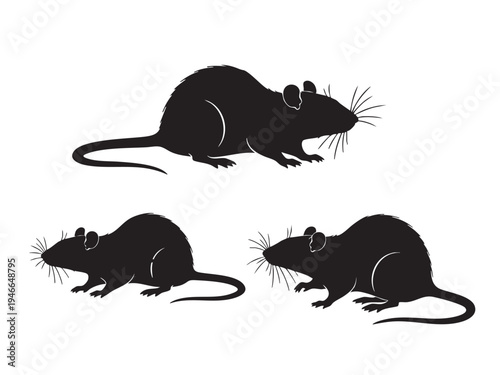 Rat Silhouette Vector
