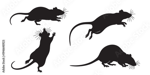 Rat Silhouette Vector