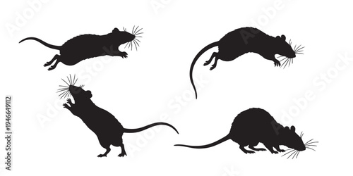 Rat Silhouette Vector