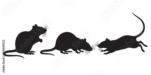 Rat Silhouette Vector