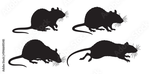 Rat Silhouette Vector