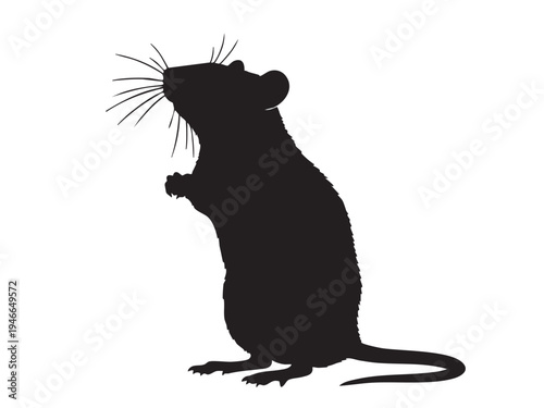 Rat Silhouette Vector