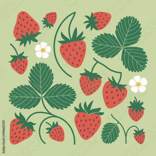 Strawberries Vector Set, hand drawn strawberry illustration, fresh summer fruit design