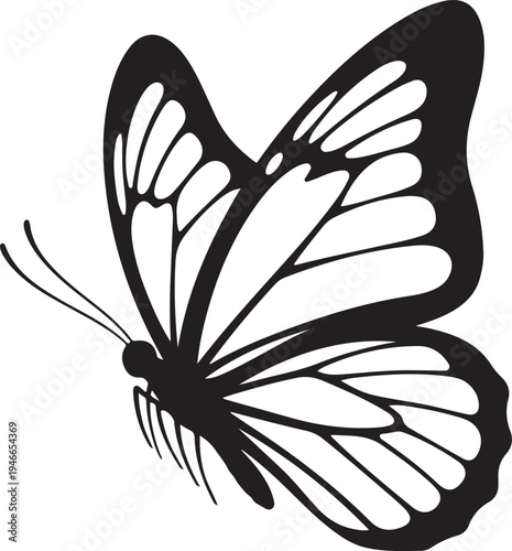 Elegant black and white butterfly silhouette with intricate wing patterns.