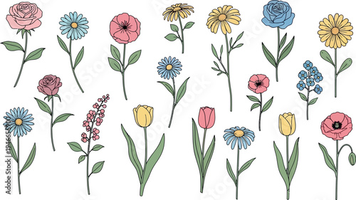 Collection of hand drawn flowers in pastel colors on white background floral