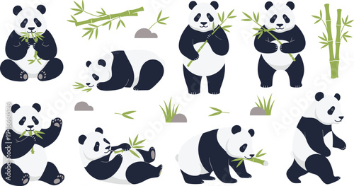 Cute Panda Character Set with Bamboo Eating, Sitting, Walking, and Playing Poses with Leaves and Nature Elements Wildlife Cartoon Illustration