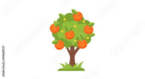 Cartoon Orange Tree with Ripe Fruits and Green Leaves on White Background