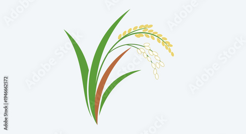 Abstract Ripe Rice Plant Stalk with Green Leaves and Golden Grains