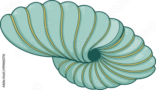 Beautiful nautilus seashell vector illustration with teal green colors and gold accents isolated on white background for beach theme summer marine nature designs.