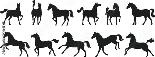 Black Horse Silhouette Vector Set Featuring Stallion and Mustang in Various Poses Including Running Jumping and Standing Isolated on White Background for Equestrian Design