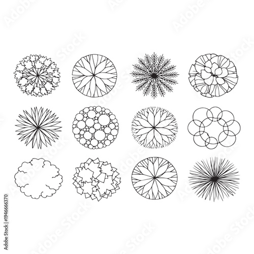 CAD Trees Top View Set – Landscape Design and Architectural Elements