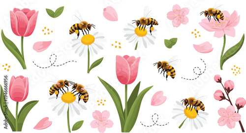 Bee Pollination and Spring Flower Vector Set with Tulip, Daisy, Cherry Blossom and Flying Bees Botanical Nature Illustration Collection