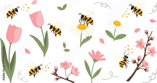 Bee Pollination and Spring Flower Vector Set with Tulips, Daisies, Cherry Blossoms, Flying Bees and Botanical Nature Elements Collection