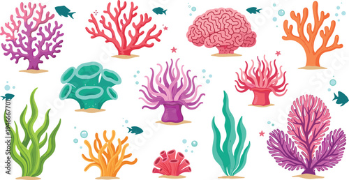 Vibrant Coral and Underwater Plants Set with Various Shapes and Colors for Ocean and Marine Life Themes