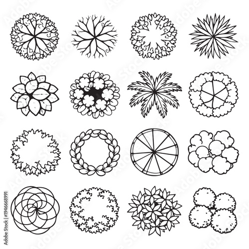 CAD Trees Top View Set – Landscape Design and Architectural Elements