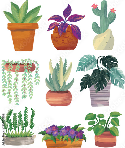 Various houseplant and flower