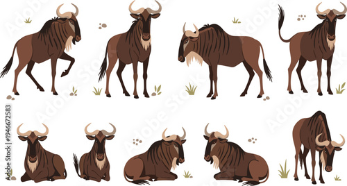 Brown Wildebeest Character Collection with Standing, Walking and Resting Poses in African Safari Wildlife Cartoon Style for Nature Education and Animal Designs.
