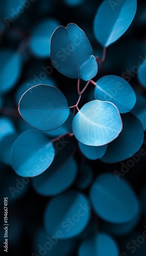 Elegant Blue Tones and Organic Shapes A Stunning Visual Showcase of Seamless Background Patterns