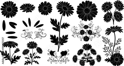 set of black silhouettes of flowers and leaves on white background for graphic design