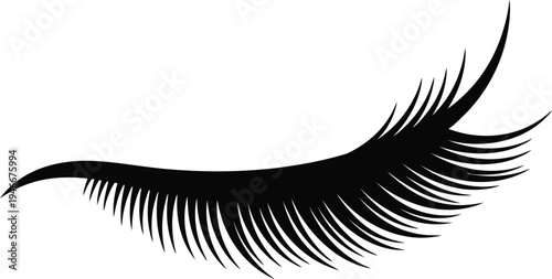 vector illustration of an eyelash