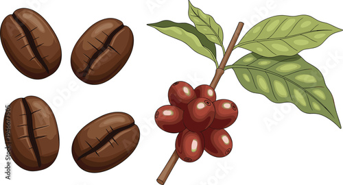 Coffee Beans and Coffee Plant Branch with Leaves and Red Berries for Food, Beverage, and Natural Product Designs
