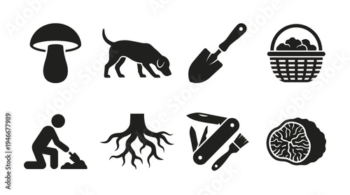 Nature Icons Vector – Gardening Tools, Planting, Trees, Outdoor Activities Graphic