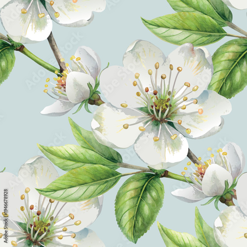 Cherry apple white blossom bloom  botanical seamless vector pattern