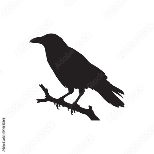 Silhouette of a solitary black bird perched firmly upon a small, stark, jagged tree branch