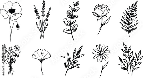Hand drawn botanical bundle featuring flowers and leaves in a loose artistic ink style