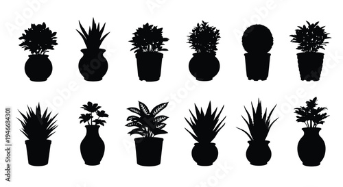 Collection of twelve distinct potted houseplant silhouettes displayed against a white background representing various indoor botanical decorative elements for design projects.