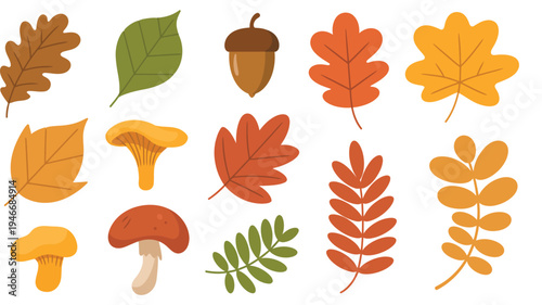 Autumn Elements Vector Set, comprehensive illustrations of fallen leaves, acorns, and yellow chanterelle mushrooms, perfect for fall season projects, seasonal branding, print, and digital media.
