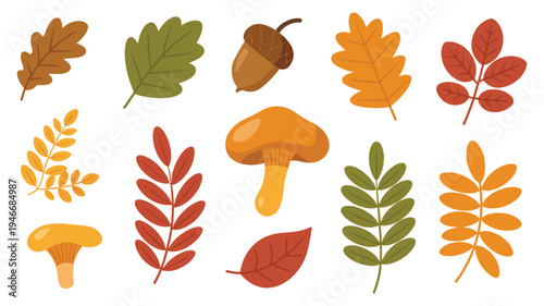 Autumn Elements Vector Set, comprehensive illustrations of fallen leaves, acorns, and yellow chanterelle mushrooms, perfect for fall season projects, seasonal branding, print, and digital media.