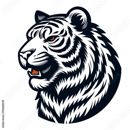 Tiger vector and illustration.