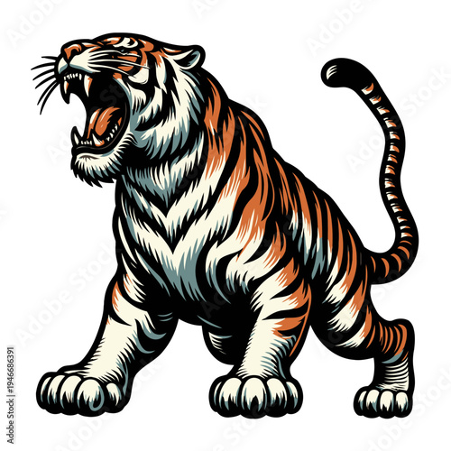 Tiger vector and illustration.
