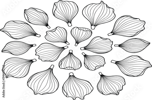 Decorative mandala composition of fig petals, organic botanical line art, symmetrical floral pattern, hand-drawn black and white nature illustration, isolated vector icon